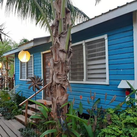 The Funky Dodo Backpackers Hostel Hopkins Ngoại thất bức ảnh
