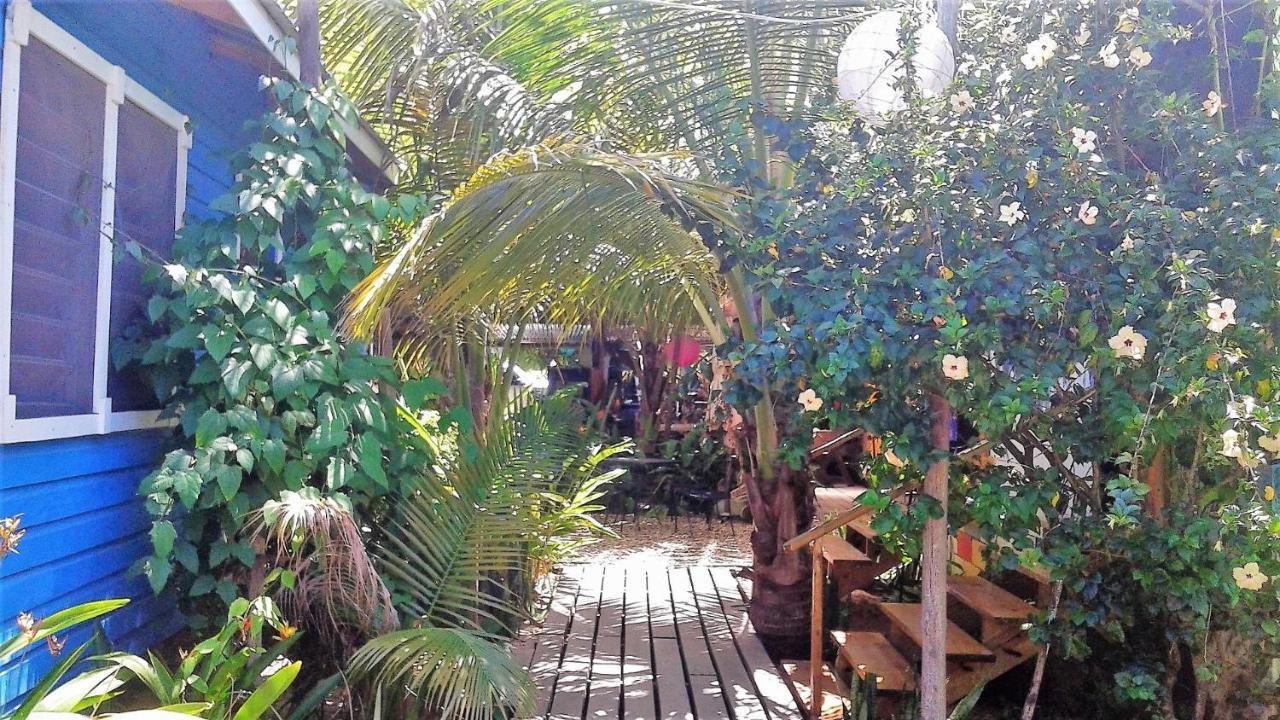 The Funky Dodo Backpackers Hostel Hopkins Ngoại thất bức ảnh