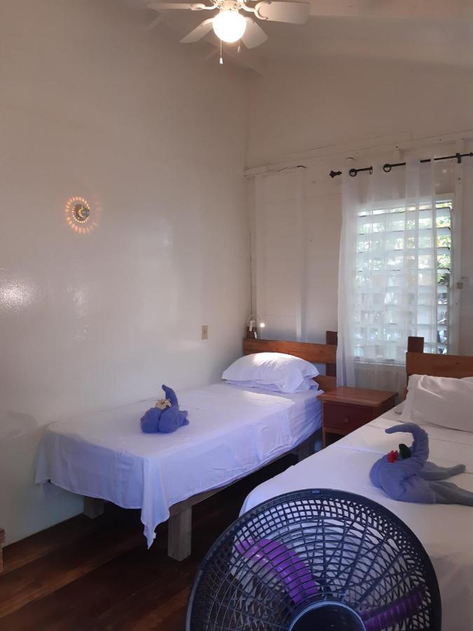 The Funky Dodo Backpackers Hostel Hopkins Ngoại thất bức ảnh