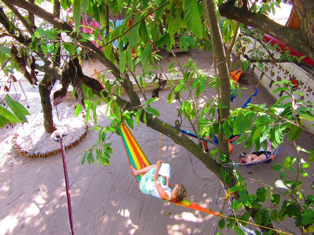 The Funky Dodo Backpackers Hostel Hopkins Ngoại thất bức ảnh