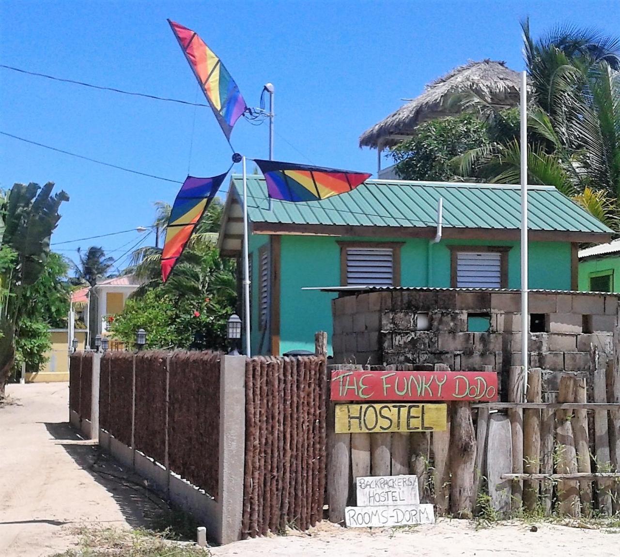 The Funky Dodo Backpackers Hostel Hopkins Ngoại thất bức ảnh