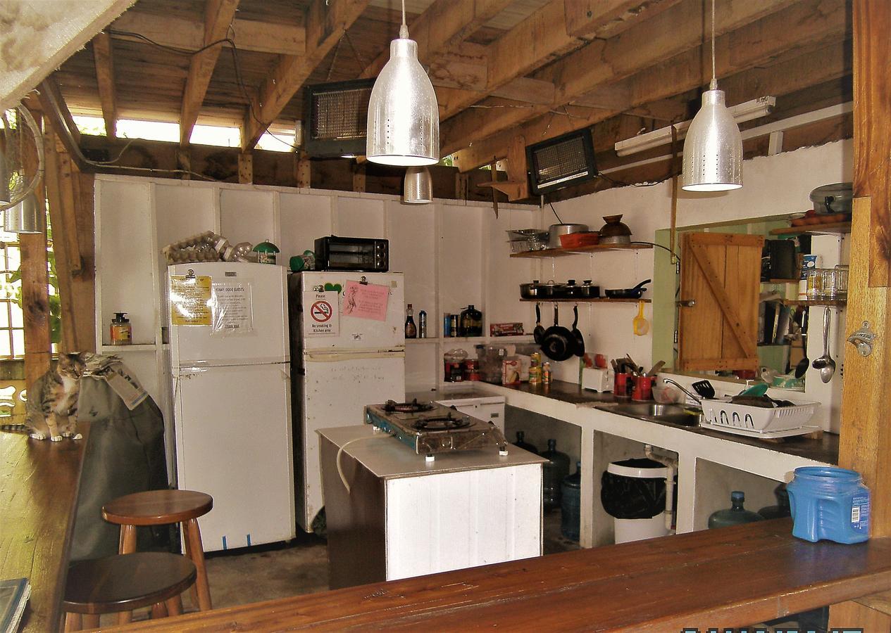 The Funky Dodo Backpackers Hostel Hopkins Ngoại thất bức ảnh