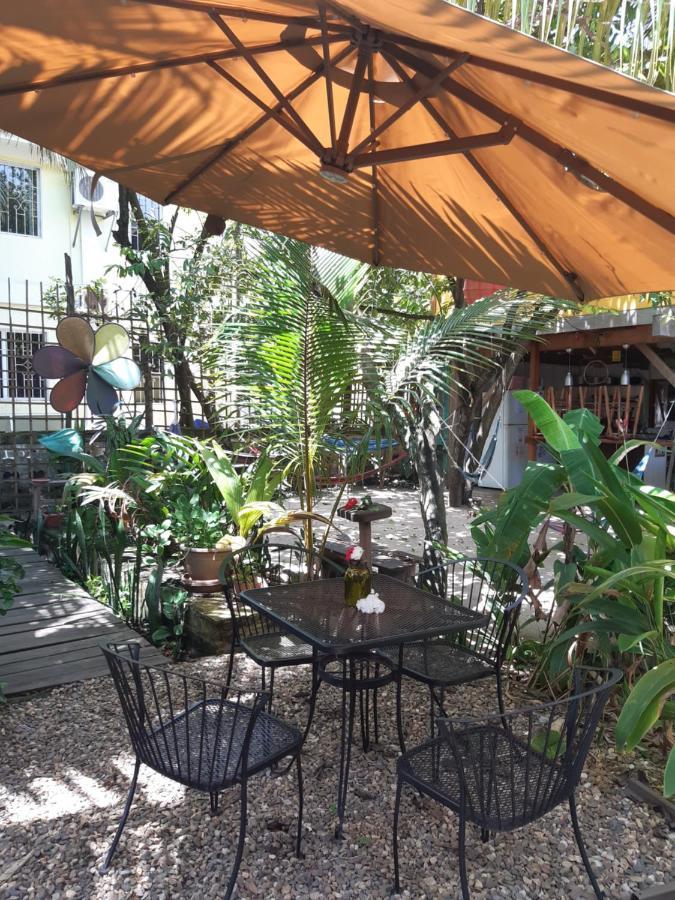 The Funky Dodo Backpackers Hostel Hopkins Ngoại thất bức ảnh