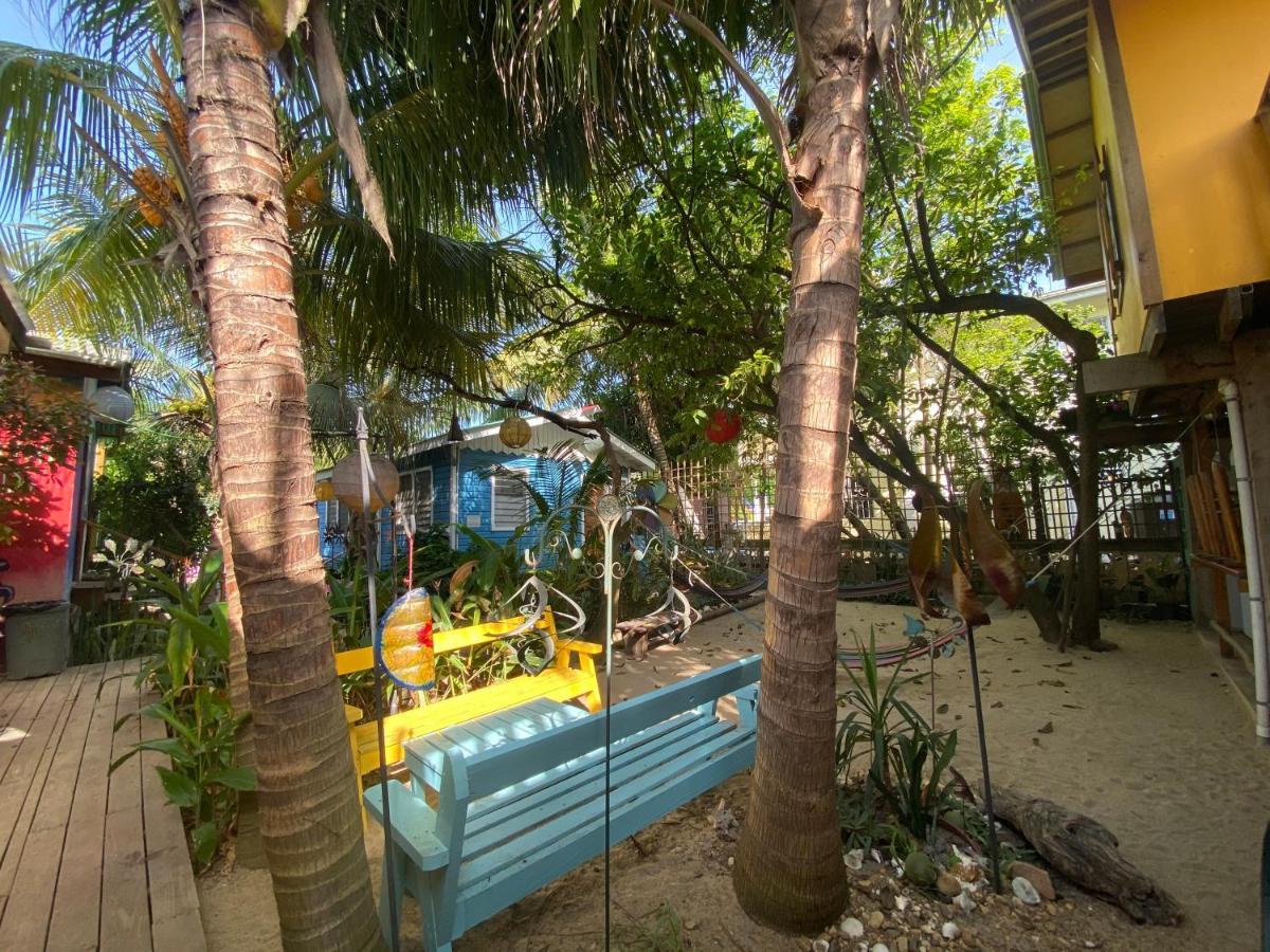 The Funky Dodo Backpackers Hostel Hopkins Ngoại thất bức ảnh