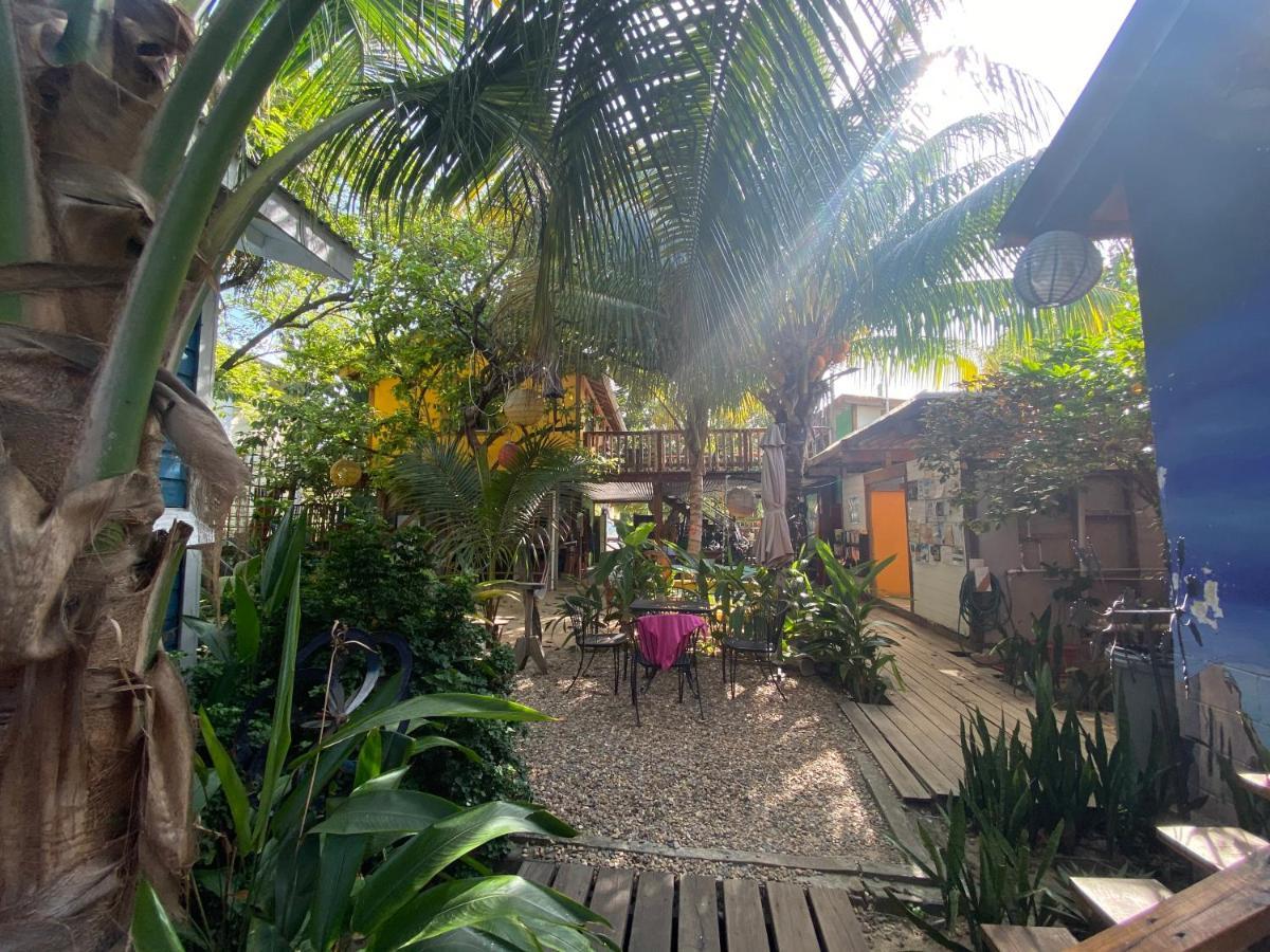 The Funky Dodo Backpackers Hostel Hopkins Ngoại thất bức ảnh