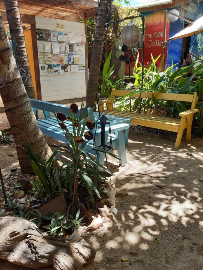 The Funky Dodo Backpackers Hostel Hopkins Ngoại thất bức ảnh