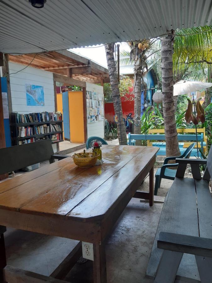 The Funky Dodo Backpackers Hostel Hopkins Ngoại thất bức ảnh