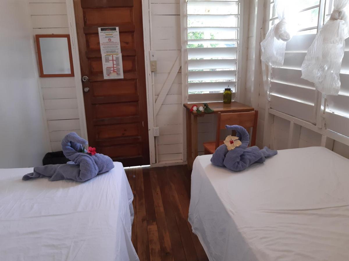 The Funky Dodo Backpackers Hostel Hopkins Ngoại thất bức ảnh