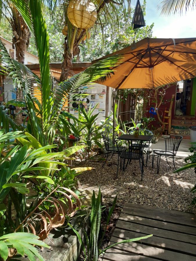The Funky Dodo Backpackers Hostel Hopkins Ngoại thất bức ảnh